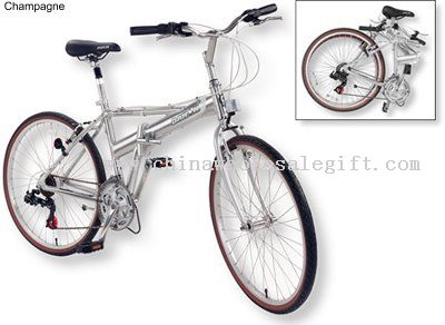 Award-Winning Folding Bike