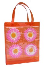 PVC Bag images