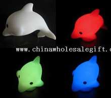 Flashing Dolphin images