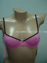 Lingerie, Bras images