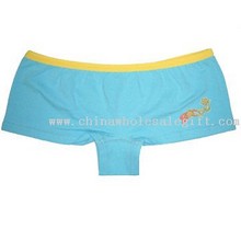 Ladies Briefs images