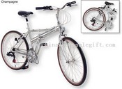 Award-Winning Folding Bike images