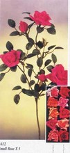 Small Rose images