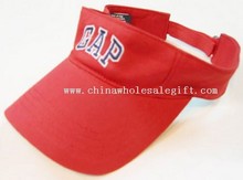 Sun Visor images