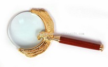 Magnifier images